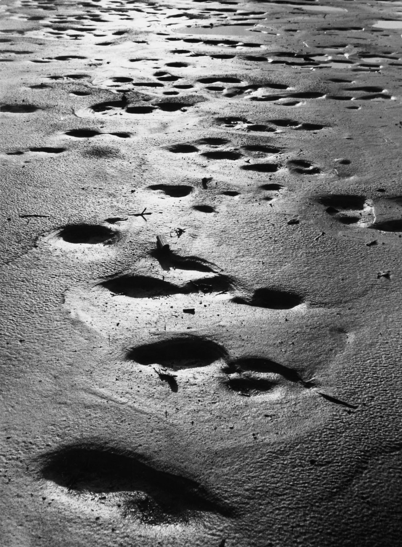 Auf diesem Bild ist das folgende Kunstwerk zu sehen: Siegfried Lauterwasser. „Kleine Sandmulden“ (Sandufer Bodensee). 1950.