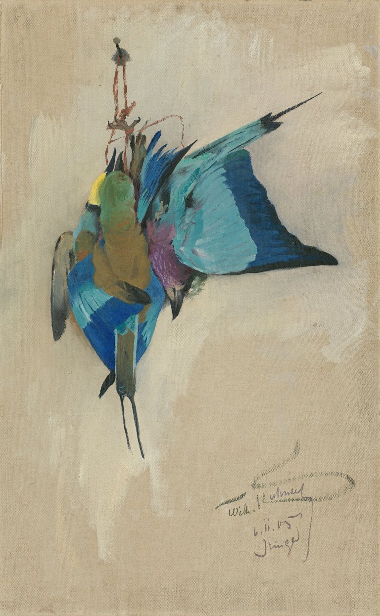 Auf diesem Bild ist das folgende Kunstwerk zu sehen: Wilhelm Kuhnert. „Blauracken“. 1905.