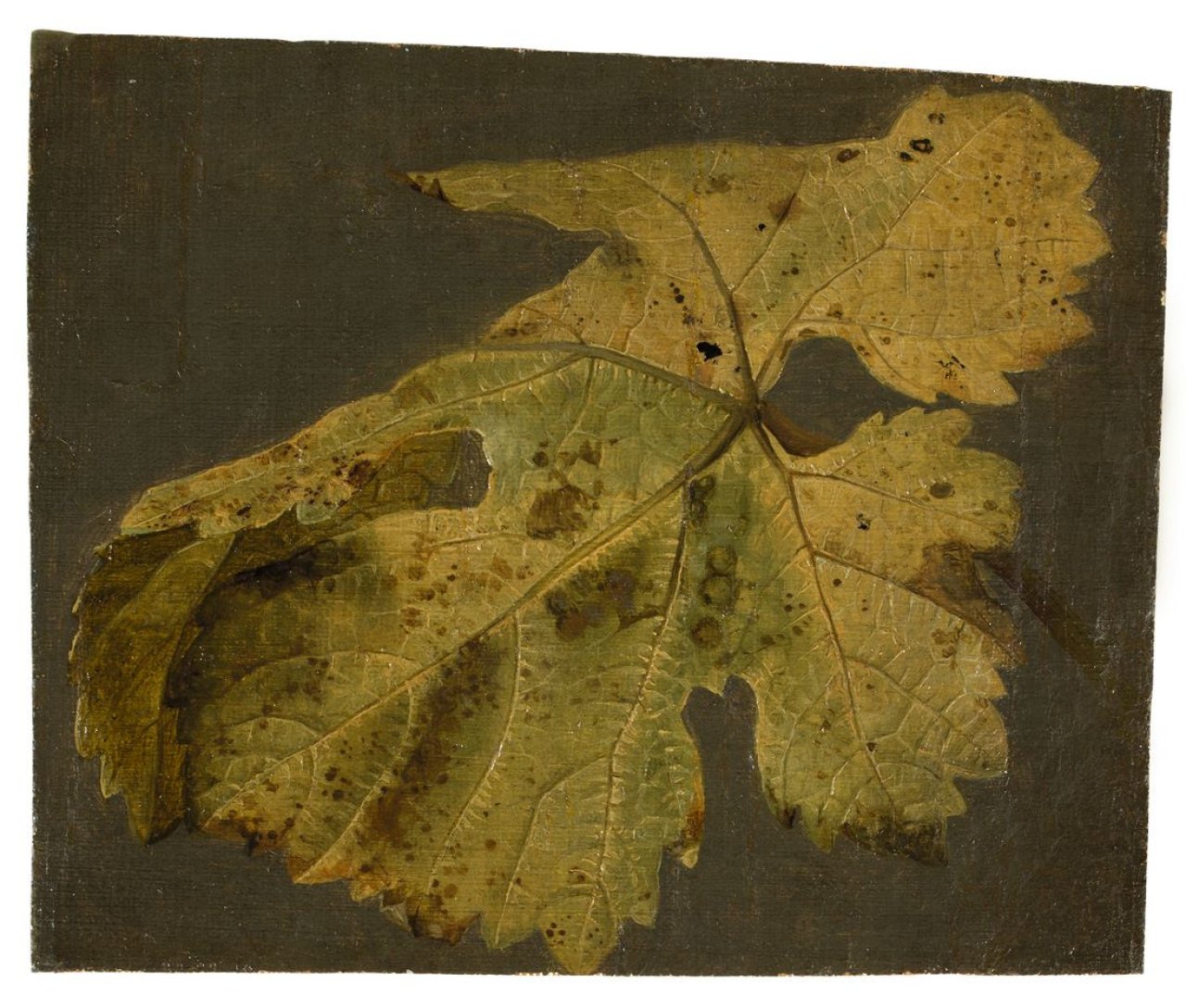 Auf diesem Bild ist das folgende Kunstwerk zu sehen: Johann Wilhelm Preyer. Weinblätter (2 Studien). Um 1830/40.
