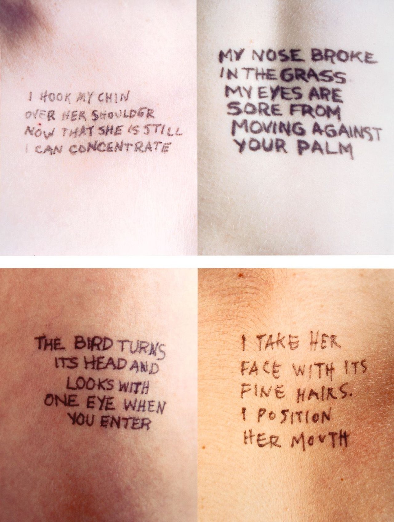 Auf diesem Bild ist das folgende Kunstwerk zu sehen: Jenny Holzer. „Untitled (Selections from „Lustmord“ Text): English Version“. 1994.