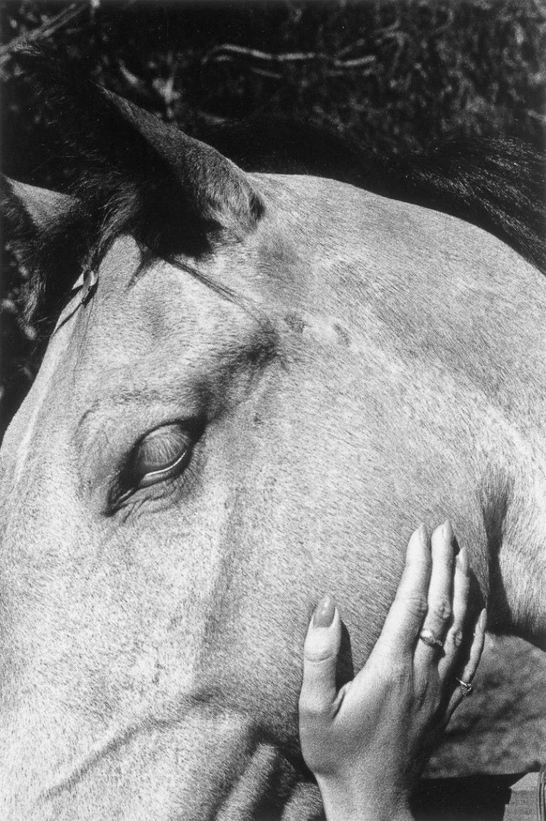 Auf diesem Bild ist das folgende Kunstwerk zu sehen: Ralph Gibson. Ohne Titel, aus dem Portfolio „Days at Sea“. 1974.