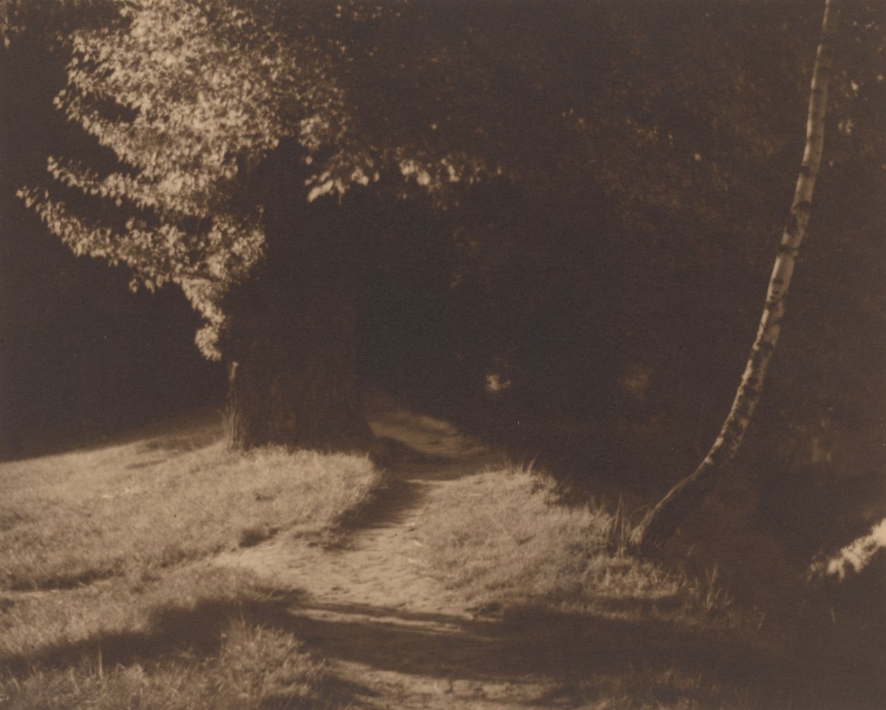 Auf diesem Bild ist das folgende Kunstwerk zu sehen: Josef Sudek. Landschaft mit Waldweg. 1918/22.