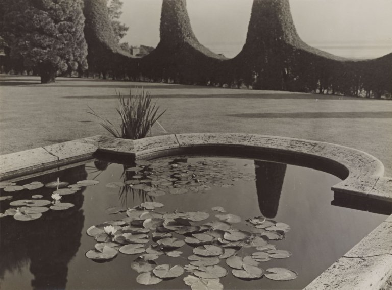 Auf diesem Bild ist das folgende Kunstwerk zu sehen: Albert Renger-Patzsch. Seerosenbassin im Park der Familie Warburg in Hamburg-Blankenese. 1928.