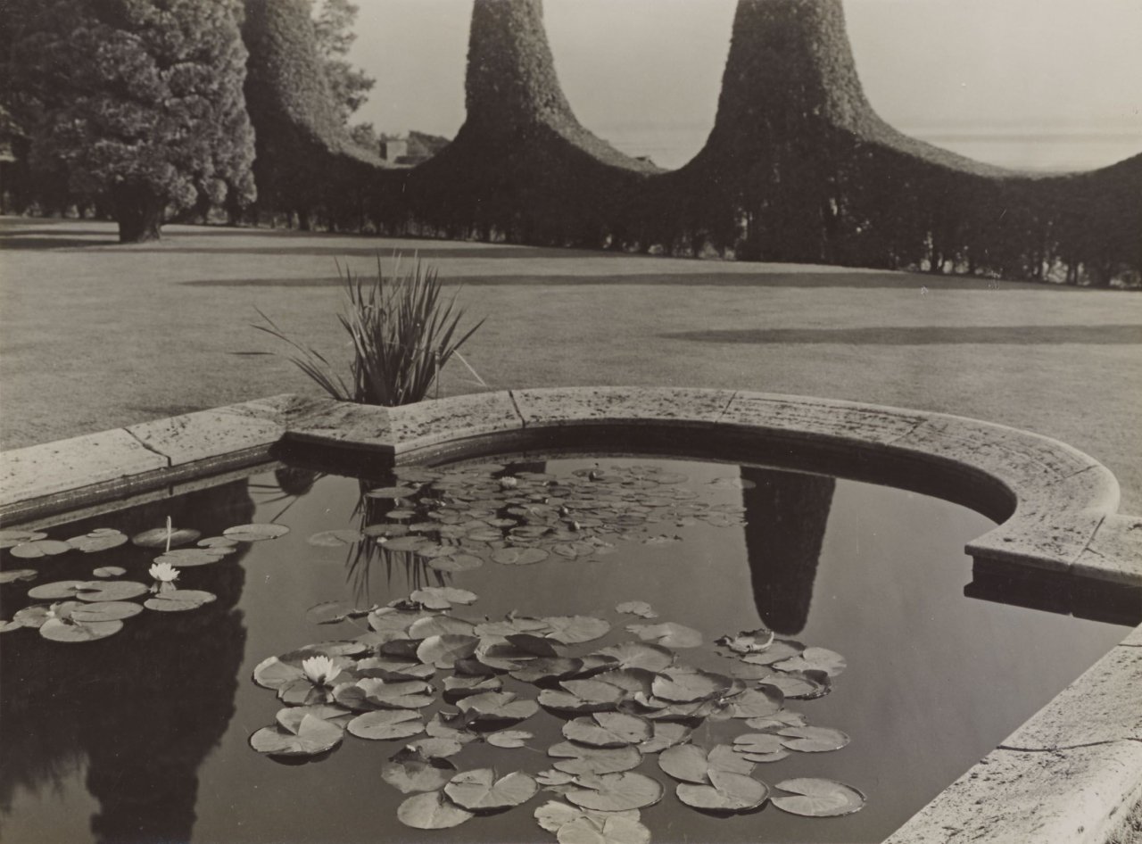 Auf diesem Bild ist das folgende Kunstwerk zu sehen: Albert Renger-Patzsch. Seerosenbassin im Park der Familie Warburg in Hamburg-Blankenese. 1928.