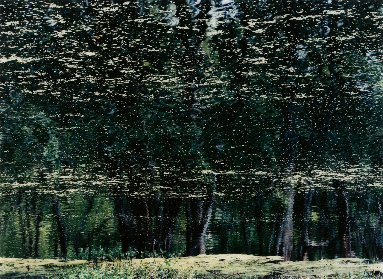 Auf diesem Bild ist das folgende Kunstwerk zu sehen: Axel Hütte. Jean Lafitte National Park. 2005.