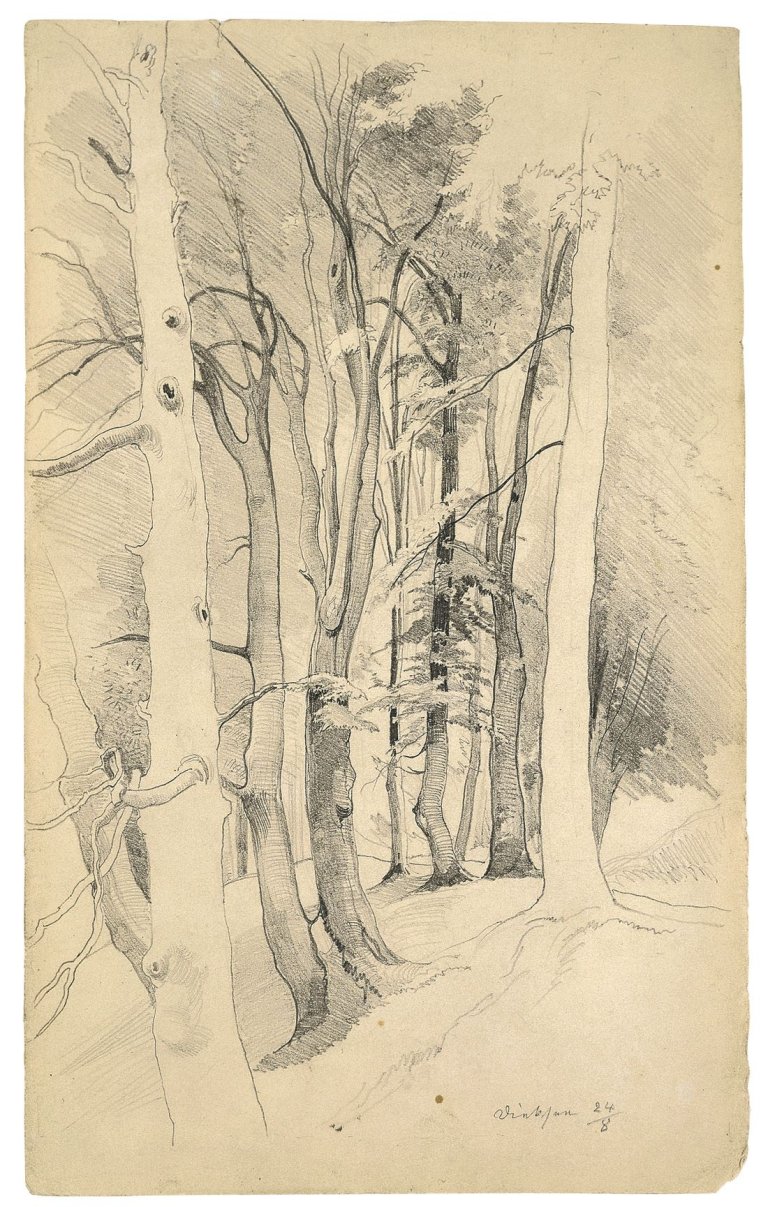 Auf diesem Bild ist das folgende Kunstwerk zu sehen: Carl Hummel. Bäume bei Diessen.