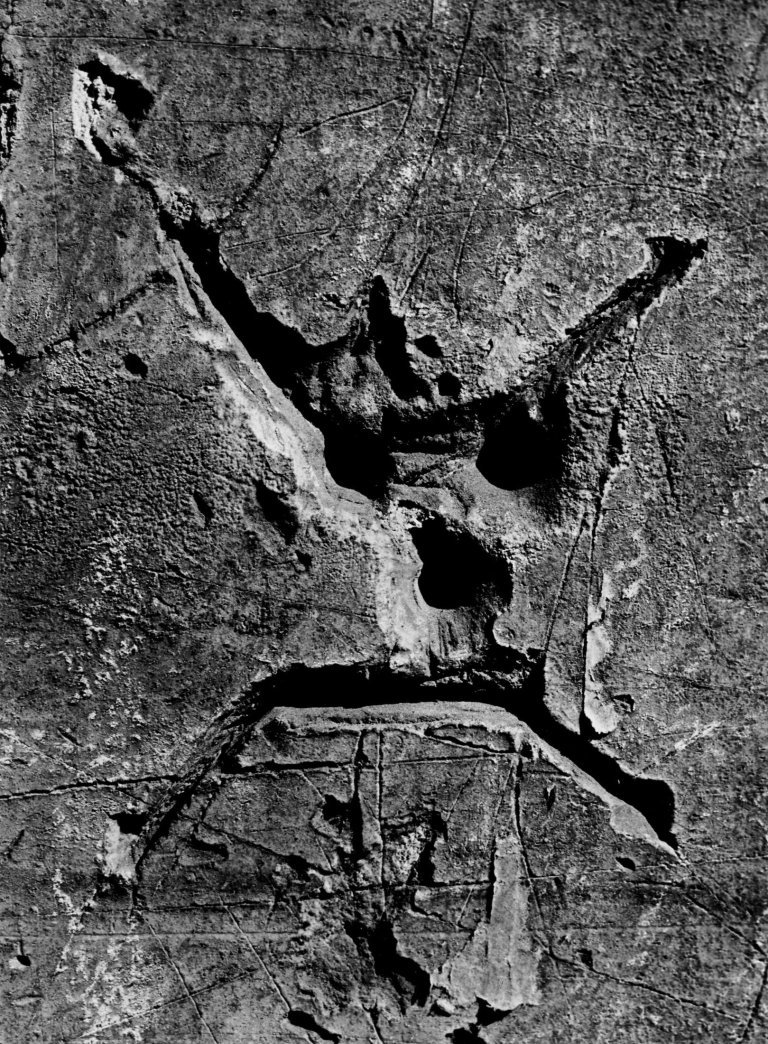 Auf diesem Bild ist das folgende Kunstwerk zu sehen:  Brassaï (d.i. Halász, Gyula). „Graffiti,Tête de mort“. 1949.