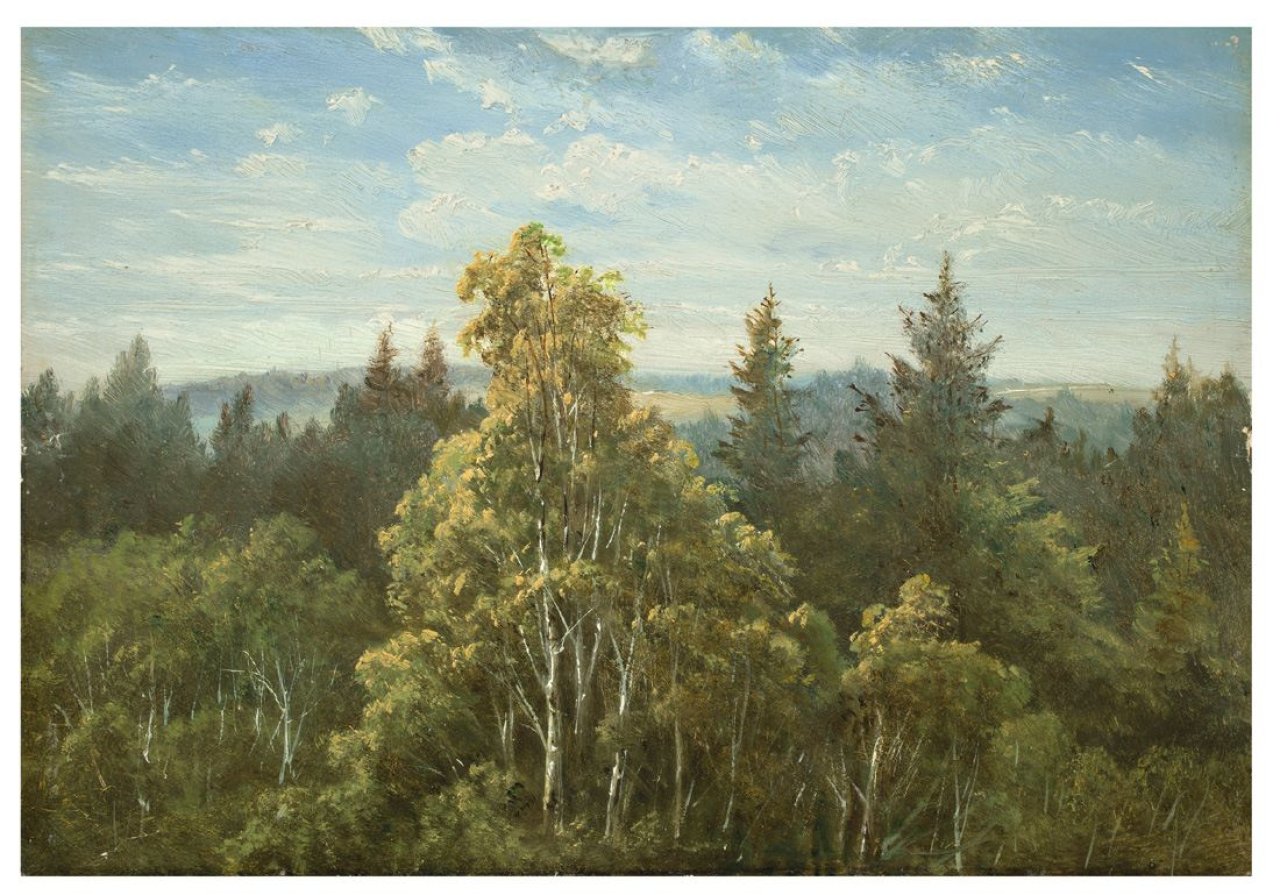 This picture shows the following artwork: Carl Gustav Carus. „Bewaldeter Abhang bei Pillnitz“. Circa 1840/50.