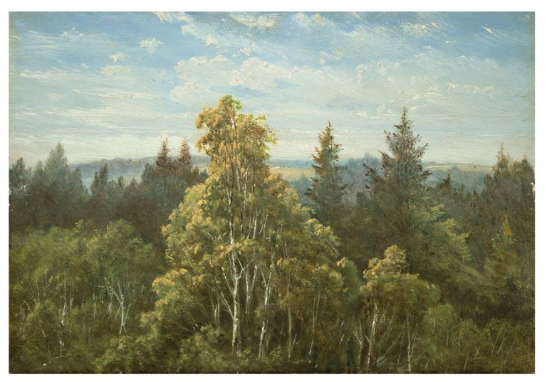 This picture shows the following artwork: Carl Gustav Carus. „Bewaldeter Abhang bei Pillnitz“. Circa 1840/50.