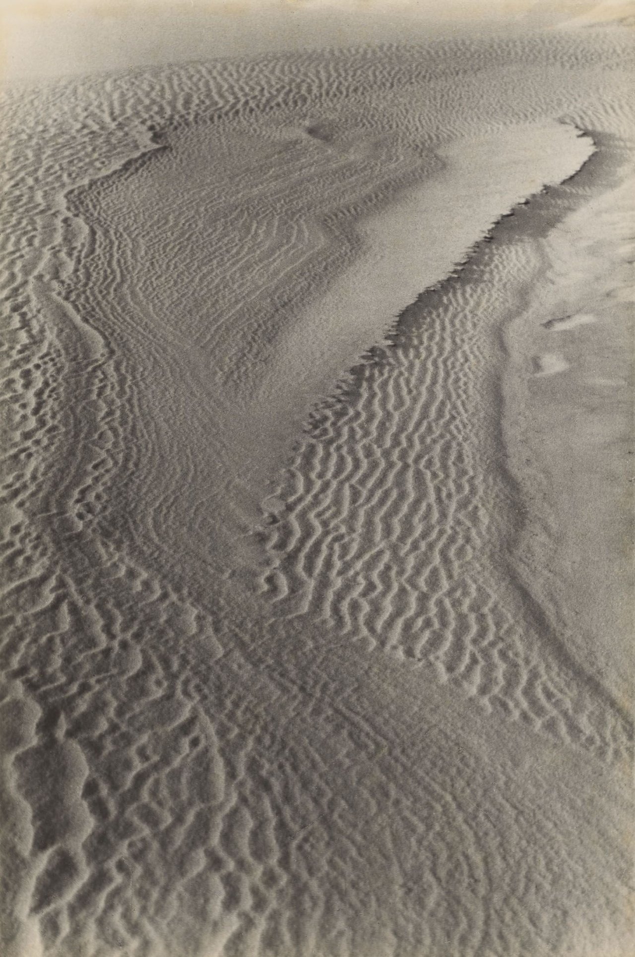 Auf diesem Bild ist das folgende Kunstwerk zu sehen: Alfred Ehrhardt. Kurische Nehrung. 1934/37.