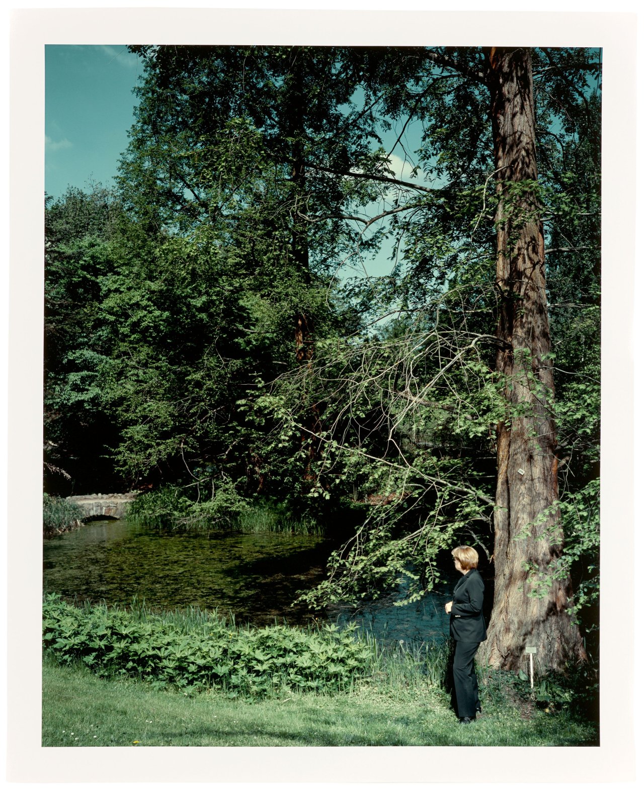 Auf diesem Bild ist das folgende Kunstwerk zu sehen: Andreas Mühe. „Unterm Baum“, aus der Serie „Angela Merkel“. 2008.