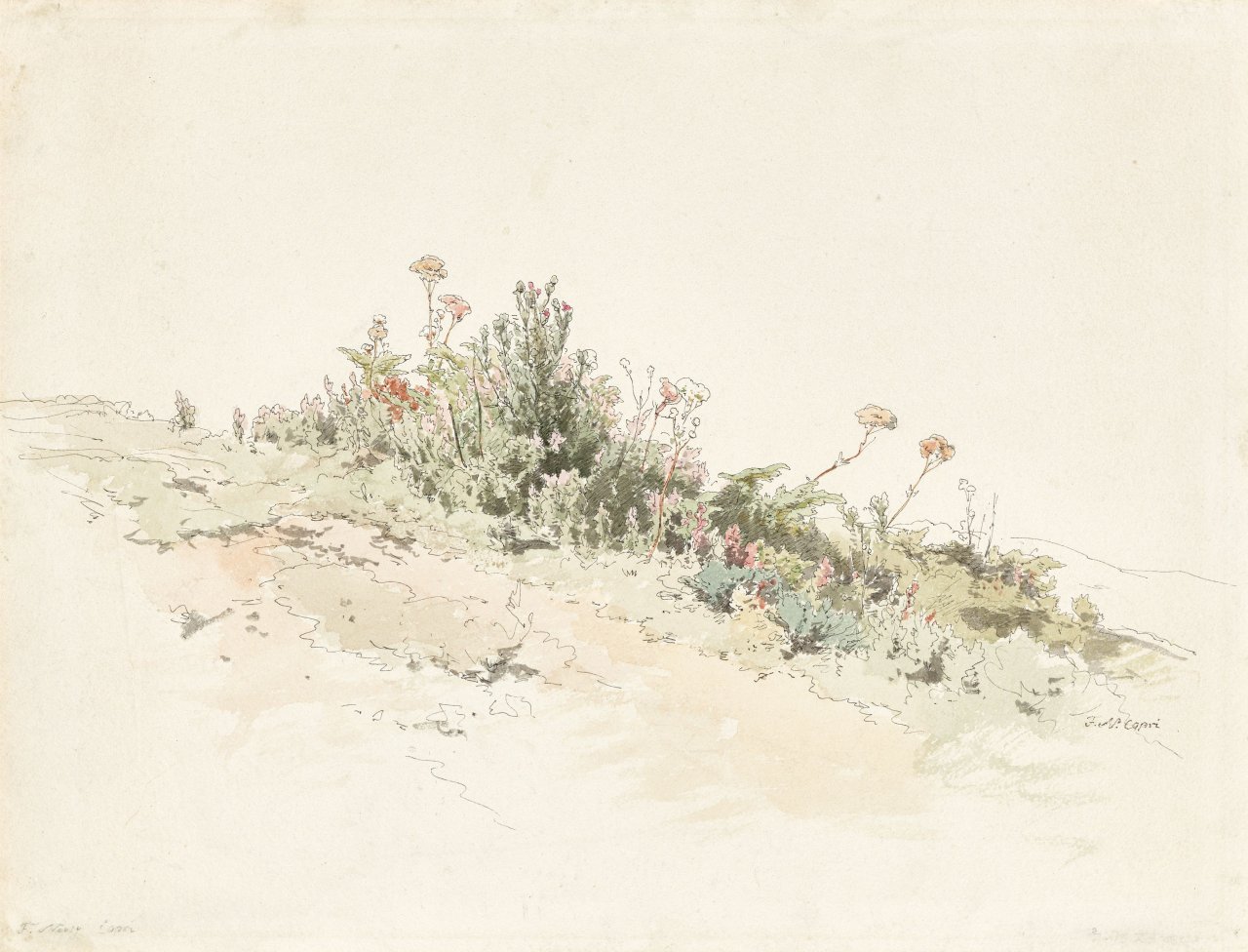 Auf diesem Bild ist das folgende Kunstwerk zu sehen: Friedrich Nerly d. Ä.. Wiesenstück auf Capri. 1831/1835.