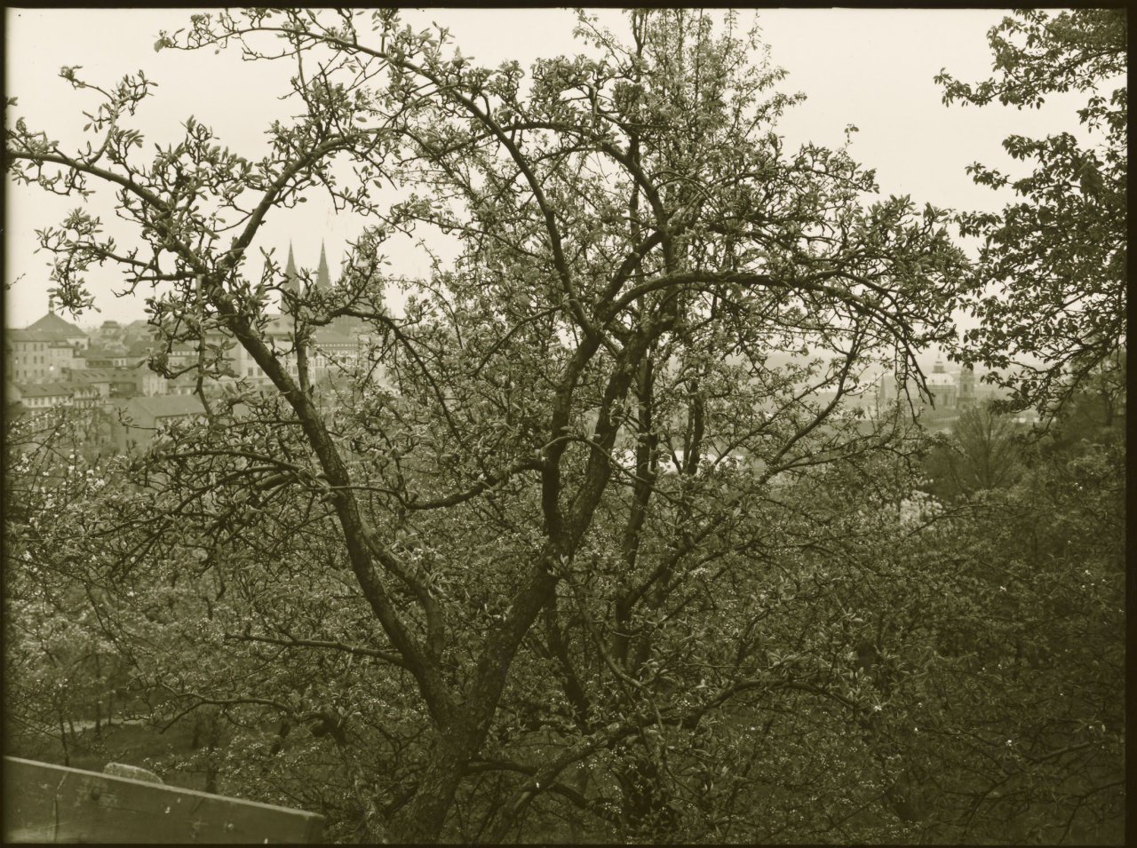 Auf diesem Bild ist das folgende Kunstwerk zu sehen: Josef Sudek. Ohne Titel (Prag). Um 1965.