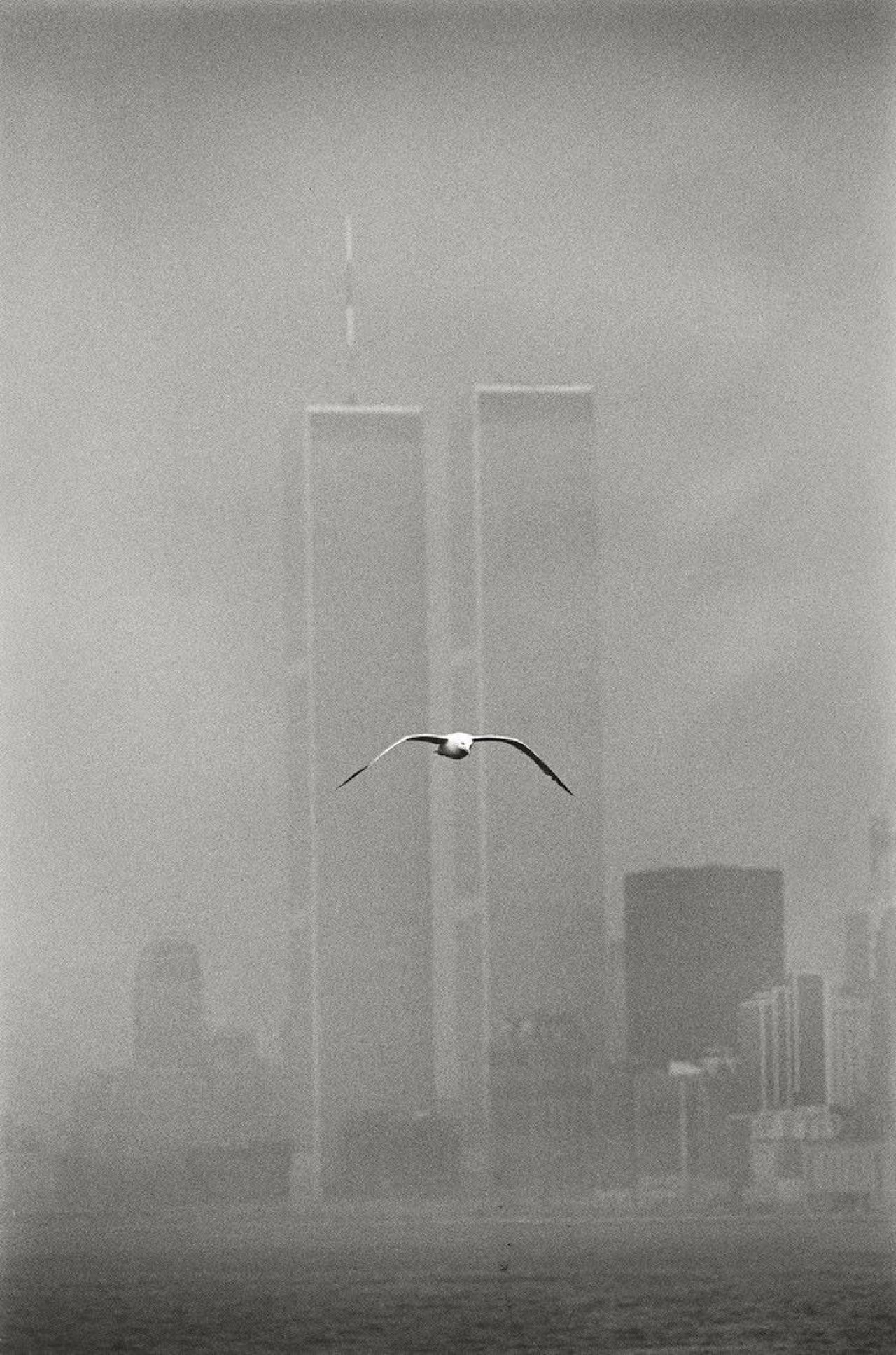 Auf diesem Bild ist das folgende Kunstwerk zu sehen: Louis Stettner. „Seagull, Twin Towers“. 1979.