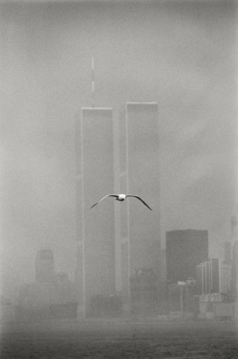 Auf diesem Bild ist das folgende Kunstwerk zu sehen: Louis Stettner. „Seagull, Twin Towers“. 1979.
