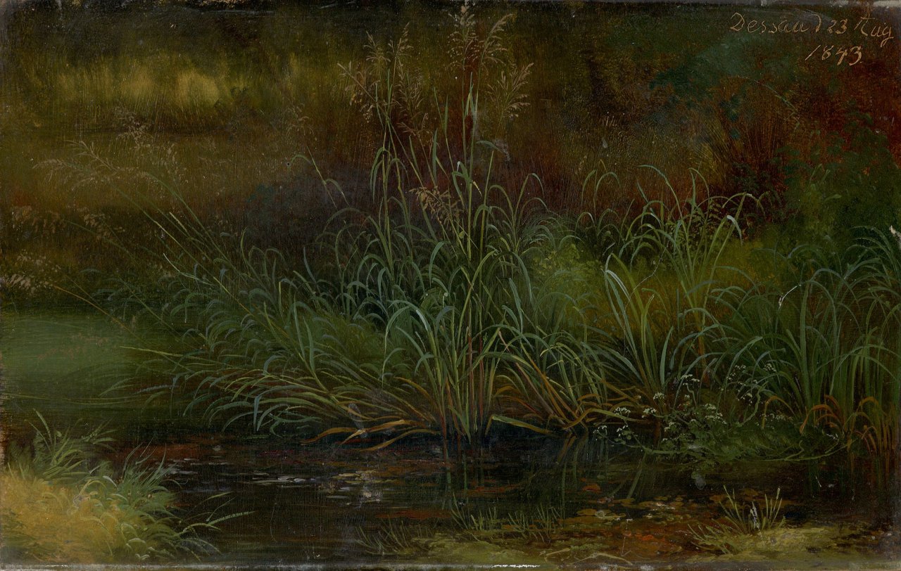 Auf diesem Bild ist das folgende Kunstwerk zu sehen: Karl Christian Sparmann. Bachufer. 1843.