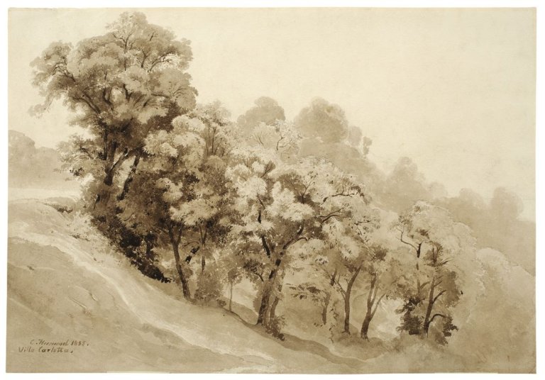 Auf diesem Bild ist das folgende Kunstwerk zu sehen: Carl Hummel. Im Park der Villa Carlotta. 1855.