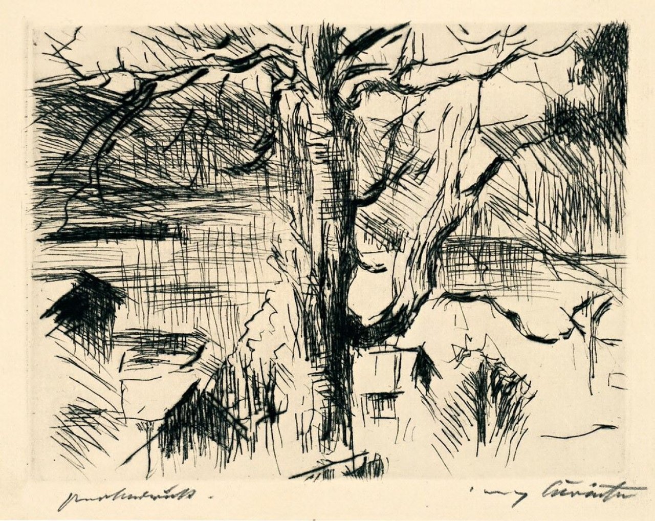 Auf diesem Bild ist das folgende Kunstwerk zu sehen: Lovis Corinth. „Baum am Walchensee“. 1923.