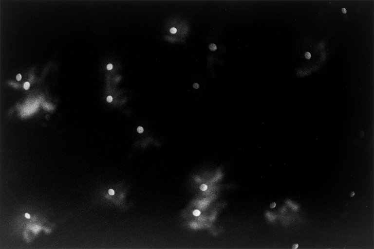 This picture shows the following artwork: Masahisa Fukase. Kanazawa. 1978.