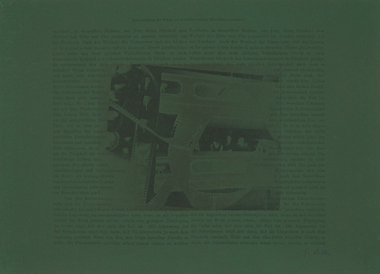 This picture shows the following artwork: Sigmar Polke. „In der Oper (Entscheidung der Frage, ob den Schwämmen Bewußtsein zukommt)“. 1973.