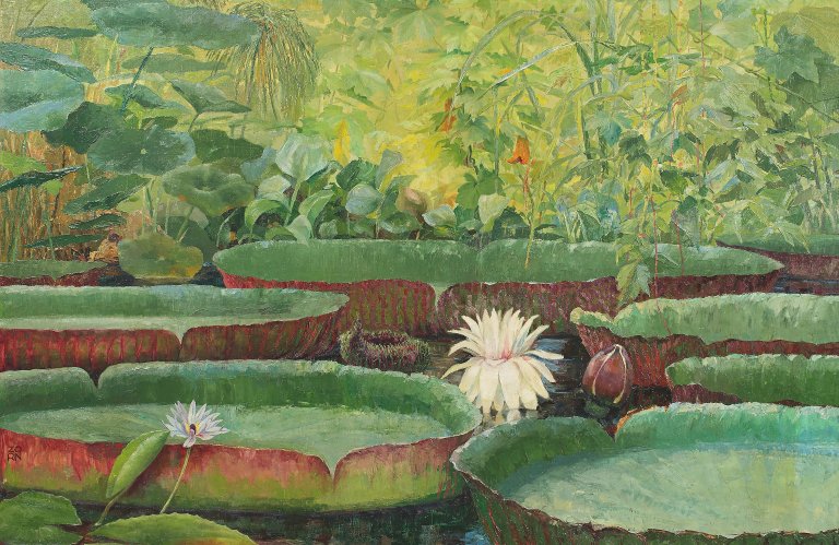 Auf diesem Bild ist das folgende Kunstwerk zu sehen: Karl Zorn. Victoria regia. 1920er Jahre.