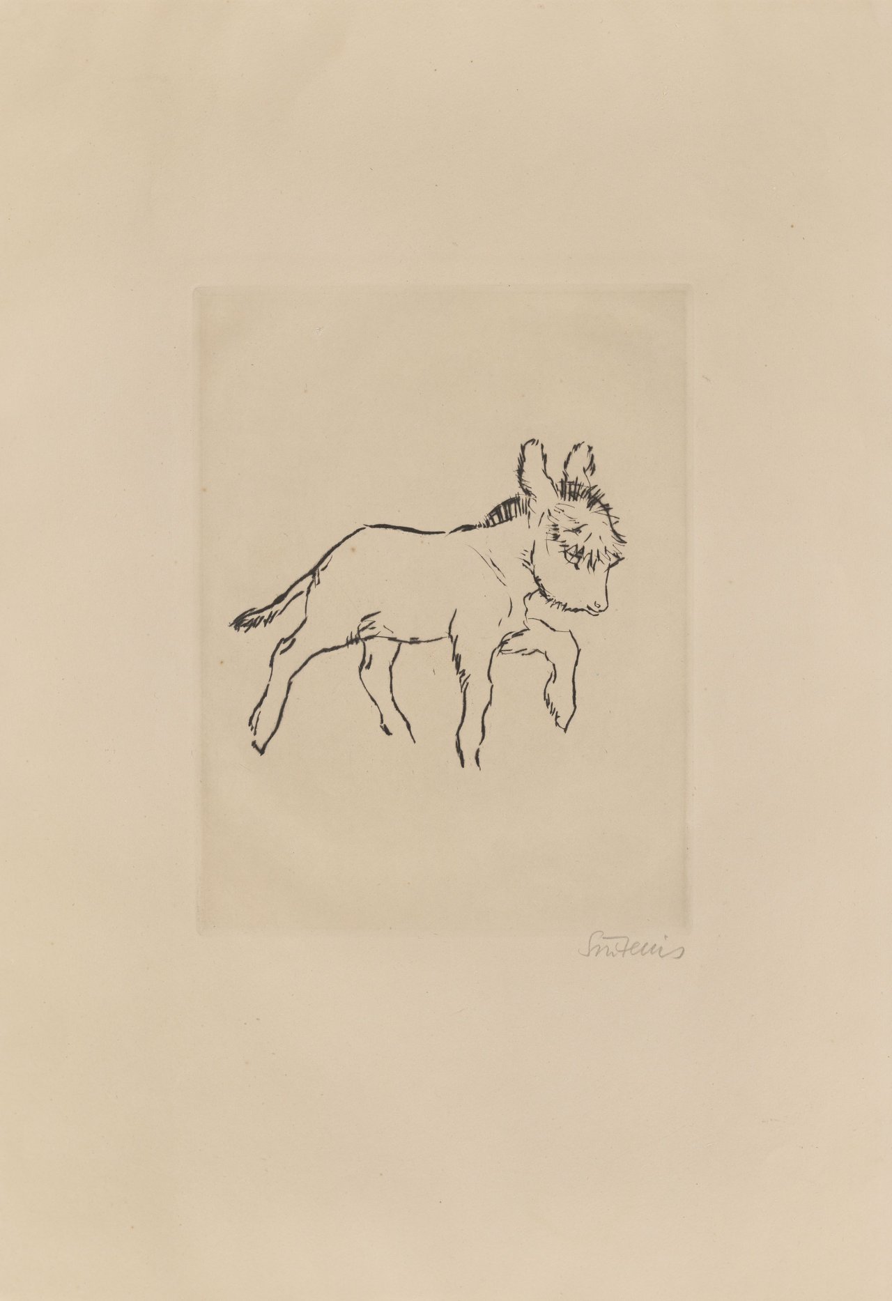 Auf diesem Bild ist das folgende Kunstwerk zu sehen: Renée Sintenis. Junger Esel.