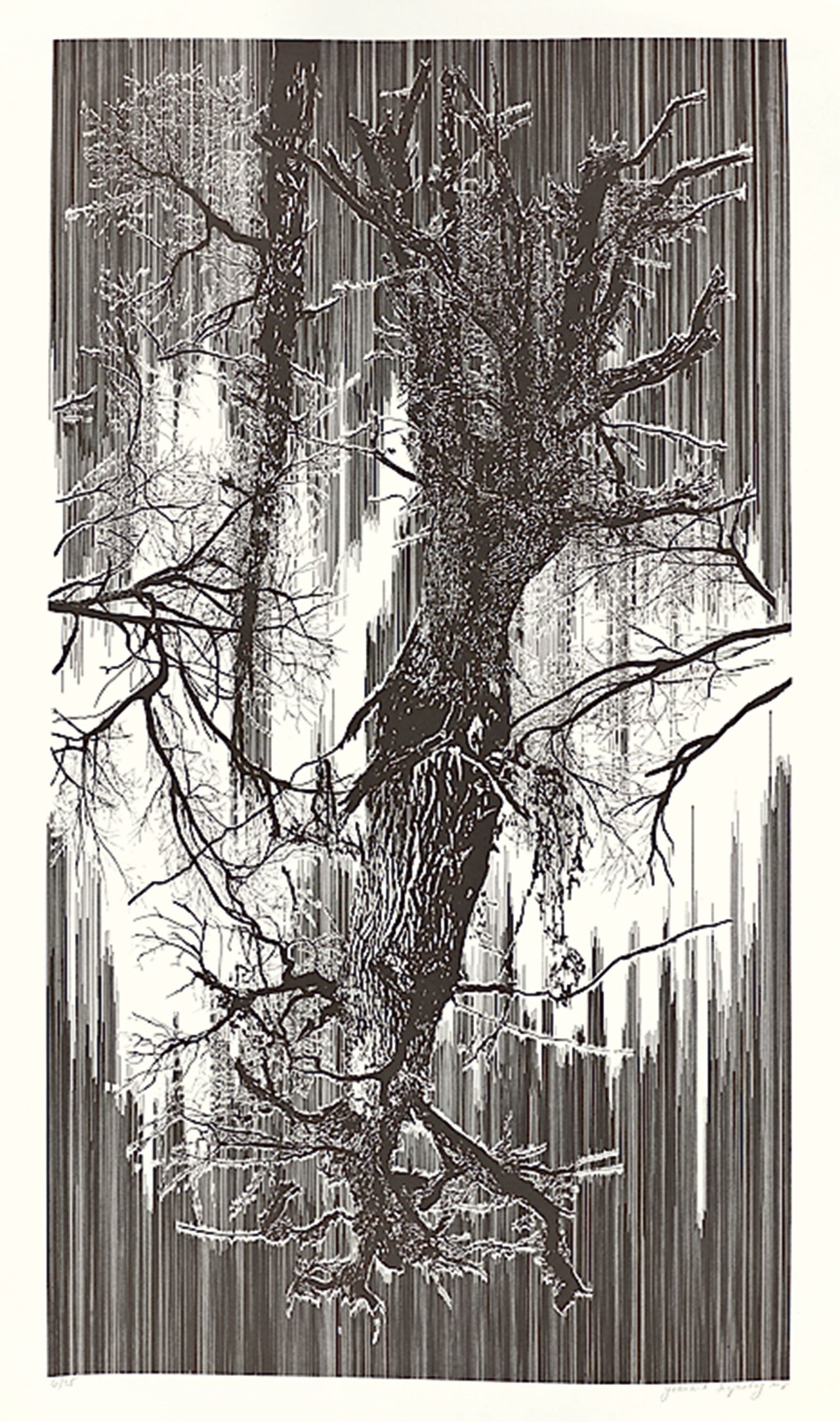 Auf diesem Bild ist das folgende Kunstwerk zu sehen: Yehudit Sasportas. Ohne Titel. 2008.