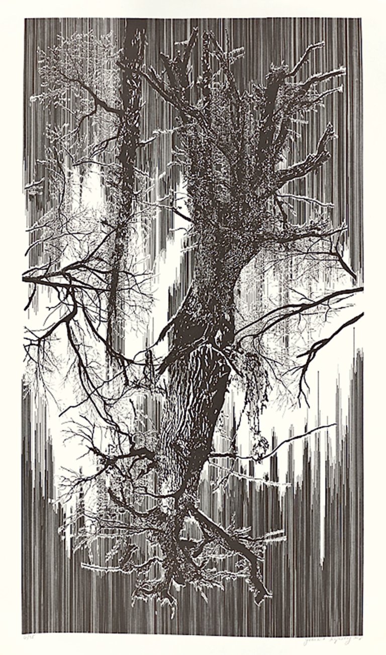 Auf diesem Bild ist das folgende Kunstwerk zu sehen: Yehudit Sasportas. Ohne Titel. 2008.