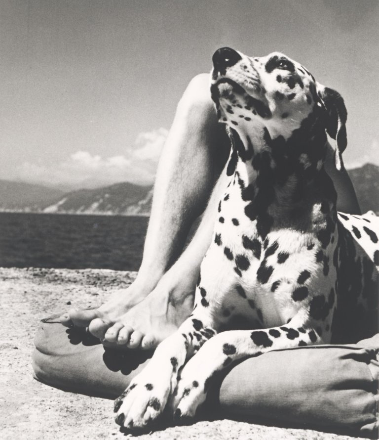 Auf diesem Bild ist das folgende Kunstwerk zu sehen: Herbert List. Herr und Hund, Portofino. 1936.