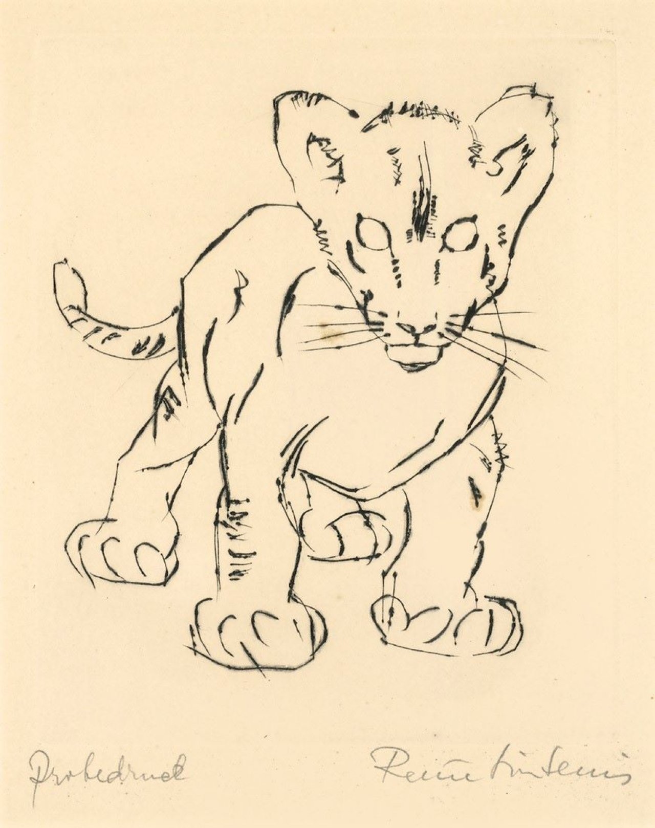 This picture shows the following artwork: Renée Sintenis. Junger Tiger. (before) 1947.