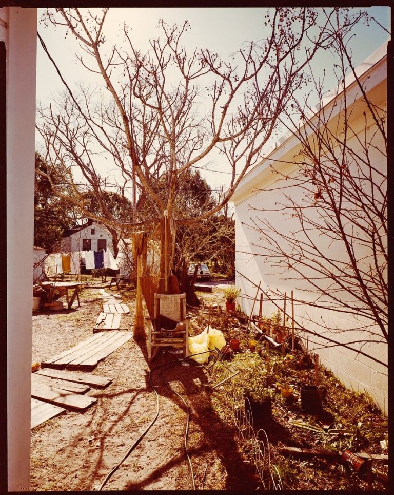 Auf diesem Bild ist das folgende Kunstwerk zu sehen: Stephen Shore. Backyard Off U.S. 98. Apalachacola, Florida. 1976.