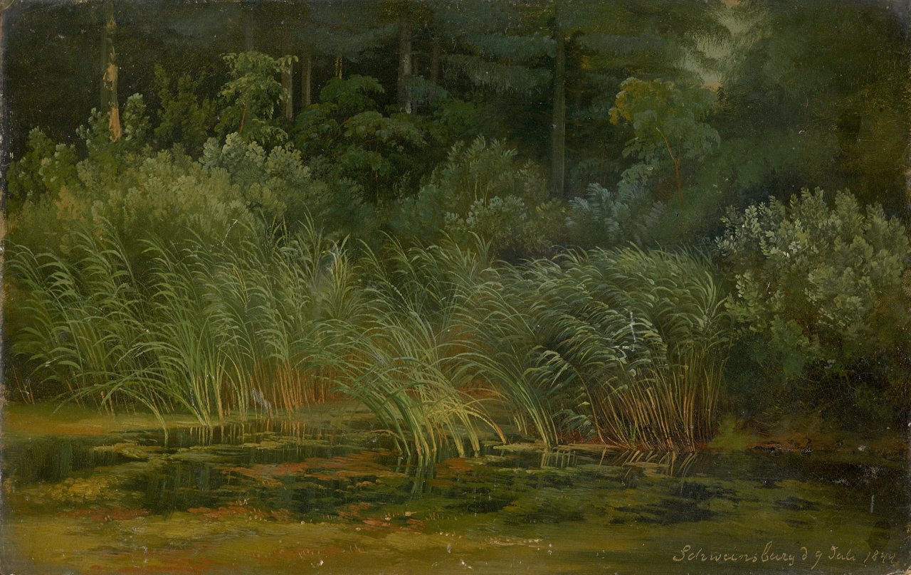 Auf diesem Bild ist das folgende Kunstwerk zu sehen: Karl Christian Sparmann. Schilfufer. 1844.