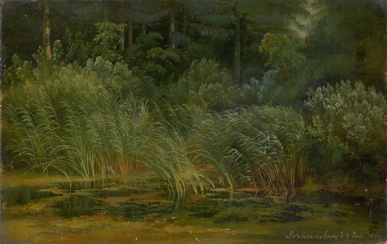 Auf diesem Bild ist das folgende Kunstwerk zu sehen: Karl Christian Sparmann. Schilfufer. 1844.