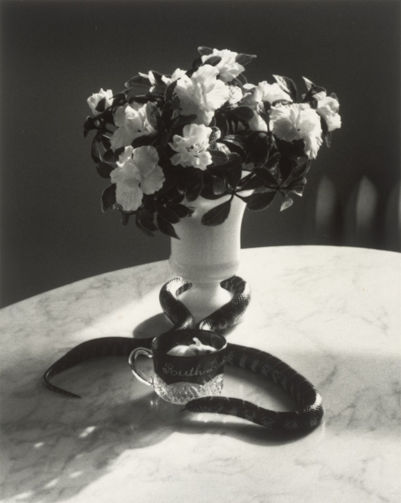 Auf diesem Bild ist das folgende Kunstwerk zu sehen: André  Kertész. Still Life with Snake and Mouse, New York. 1960.