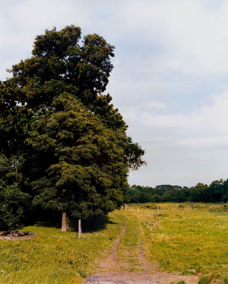 Auf diesem Bild ist das folgende Kunstwerk zu sehen: Beate Gütschow. LS#9, aus der Serie „LS“ [Landschaft], 1999–2003. 2000.