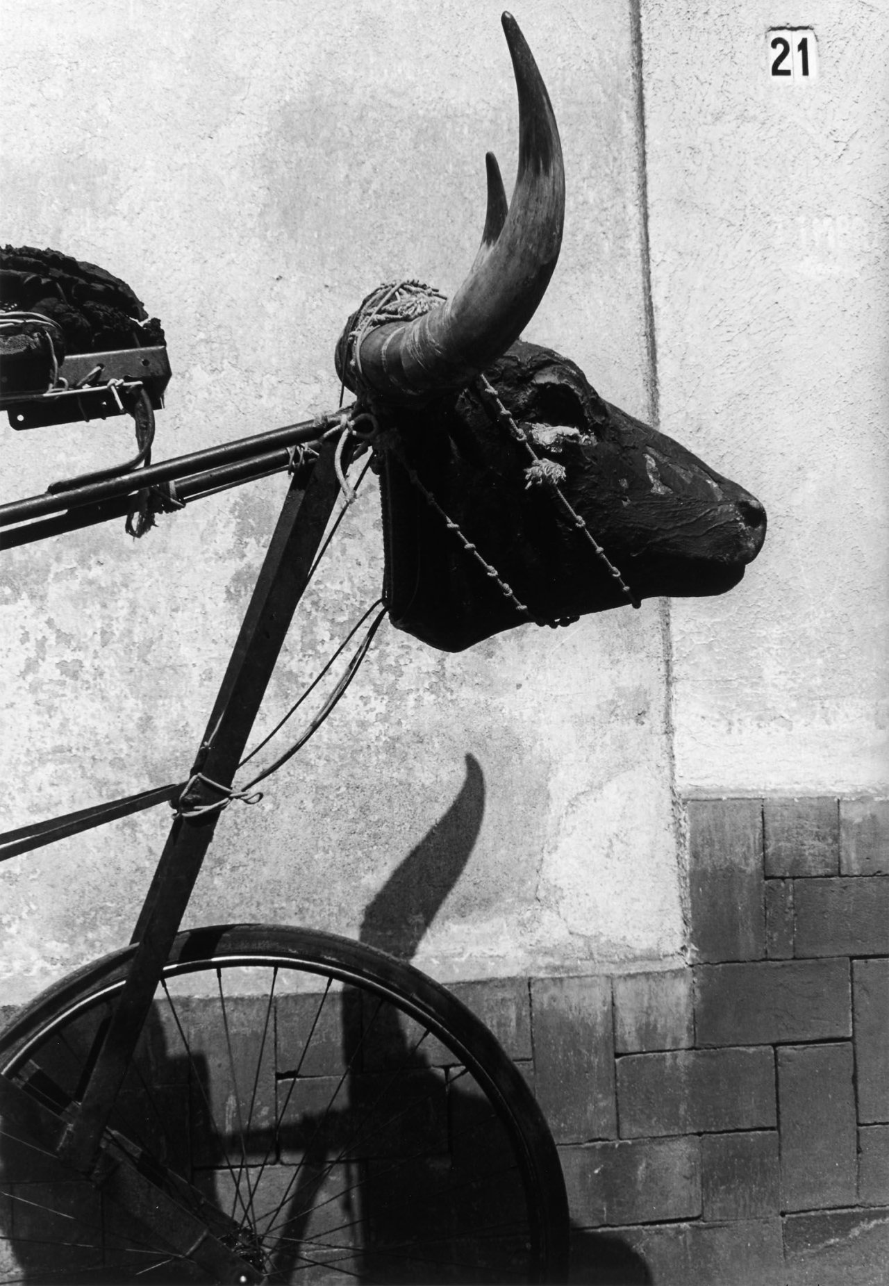 Auf diesem Bild ist das folgende Kunstwerk zu sehen: Graciela Iturbide. Torito, Coyoacán, Mexico City. 1983.