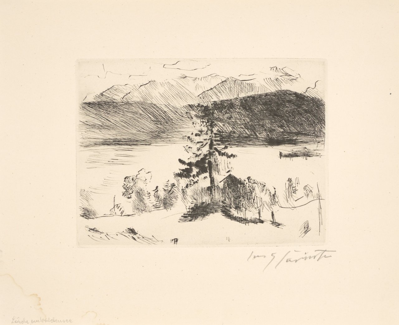 This picture shows the following artwork: Lovis Corinth. Lärche am Walchensee. 1923.