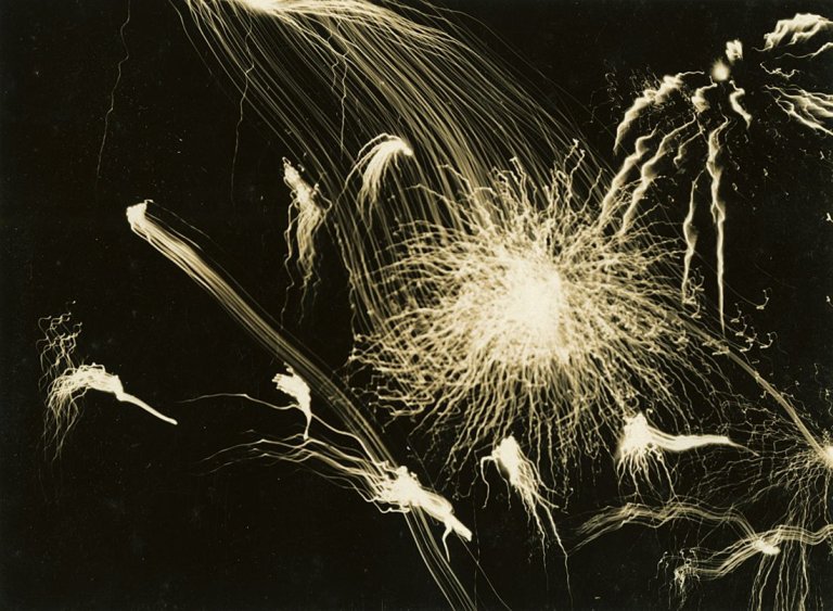 Auf diesem Bild ist das folgende Kunstwerk zu sehen: Aenne Biermann (d.i. Anna Sibylla Sternfeld). „Feuerwerk“. 1928.