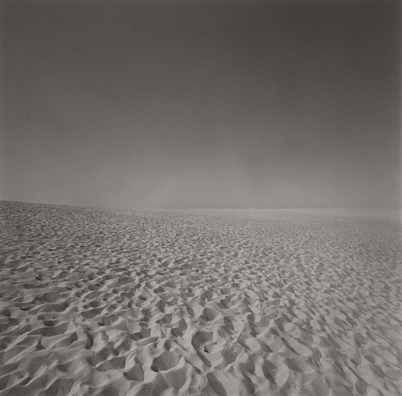 This picture shows the following artwork: Harry Callahan. Cape Cod. 1972.