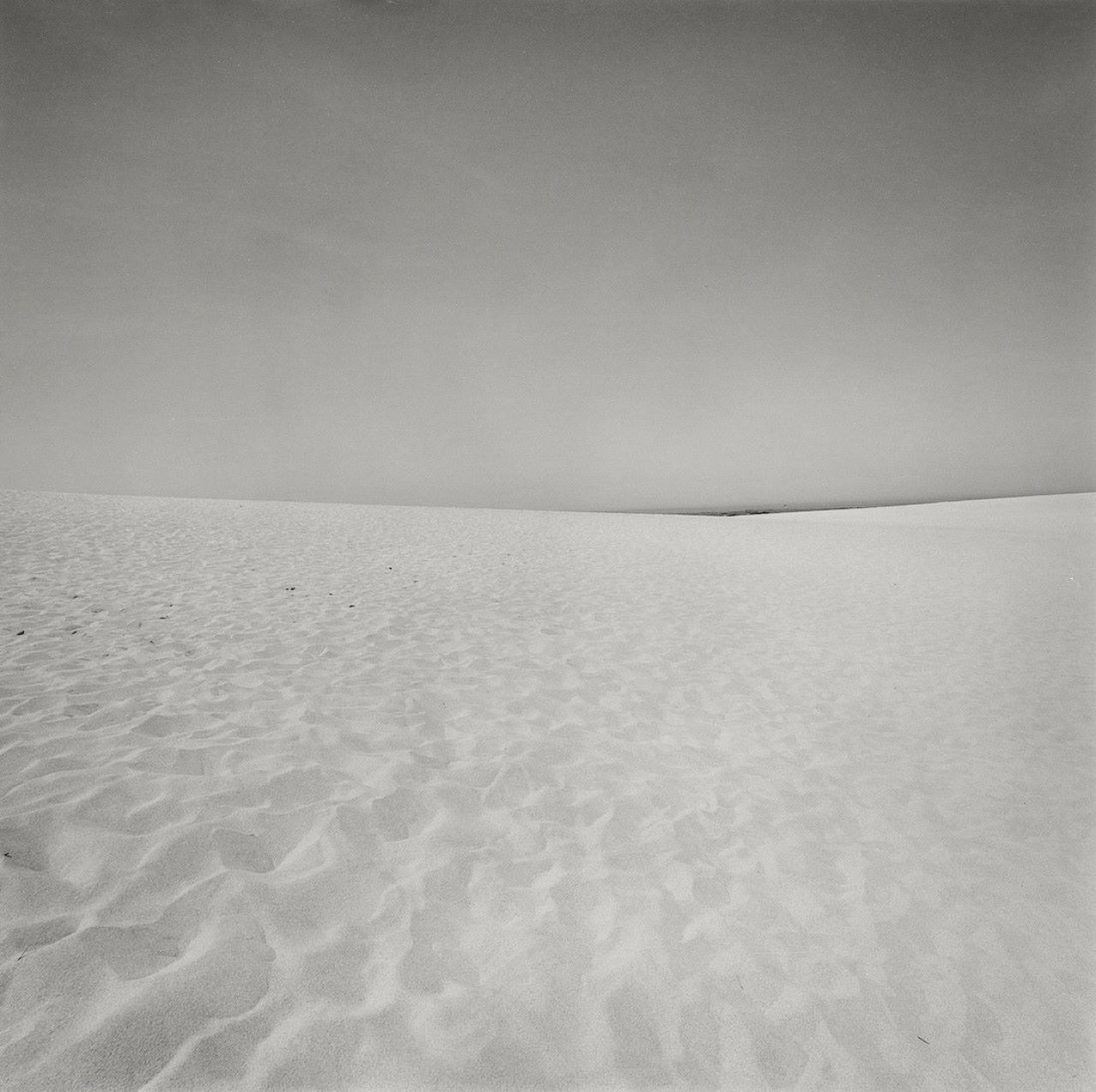 Auf diesem Bild ist das folgende Kunstwerk zu sehen: Harry Callahan. Cape Cod. 1972.