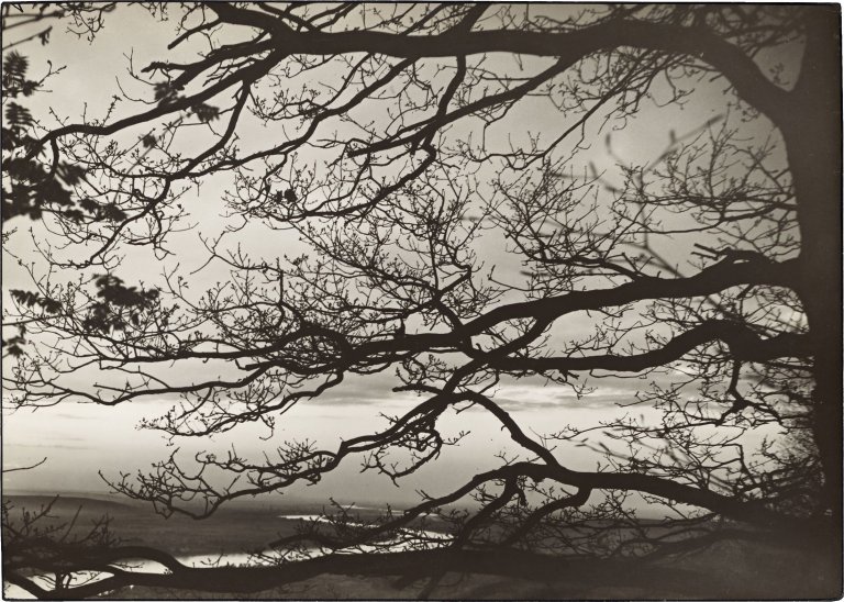 This picture shows the following artwork: August Sander. Rhine landscape. 1930s.