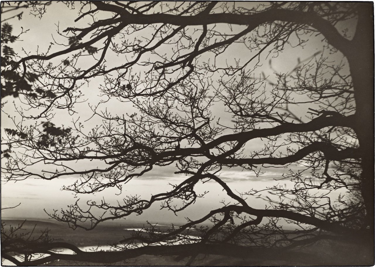 This picture shows the following artwork: August Sander. Rhine landscape. 1930s.