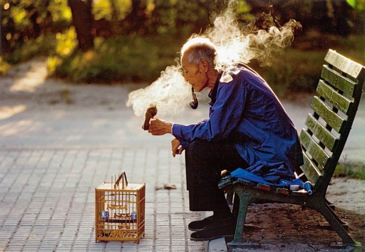 Auf diesem Bild ist das folgende Kunstwerk zu sehen: Thomas Höpker. Alter Mann mit seinem Lieblingsvogel im Ritan-Park, Beijing. 1984.