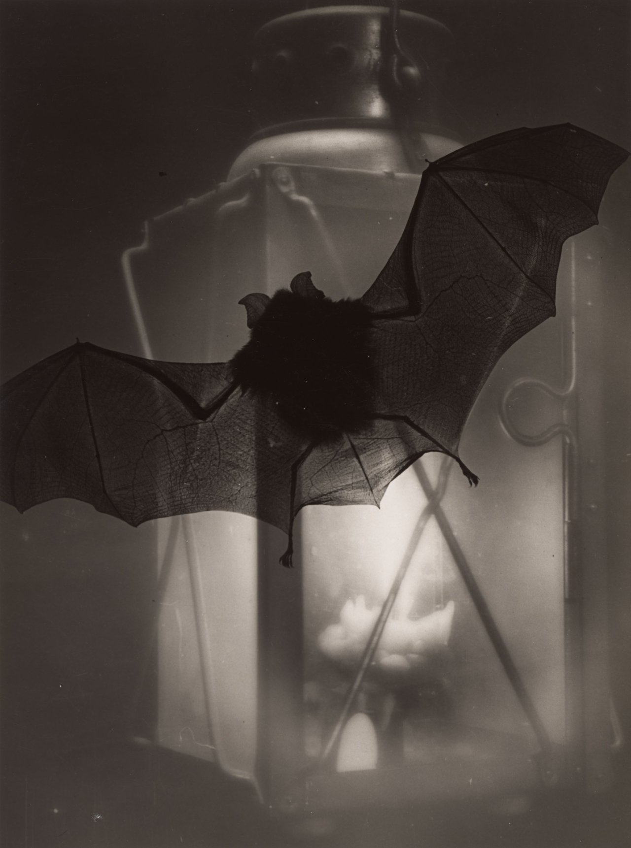 Auf diesem Bild ist das folgende Kunstwerk zu sehen: Heinz Hajek-Halke. Fledermaus und Laterne. 1936.