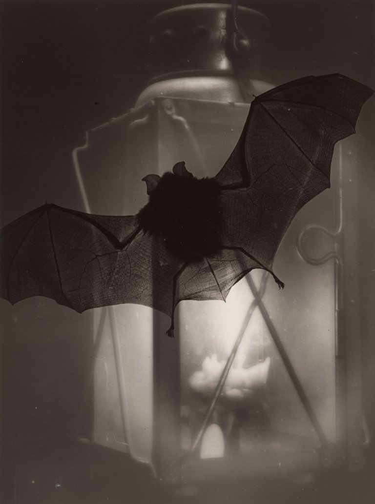 Auf diesem Bild ist das folgende Kunstwerk zu sehen: Heinz Hajek-Halke. Fledermaus und Laterne. 1936.