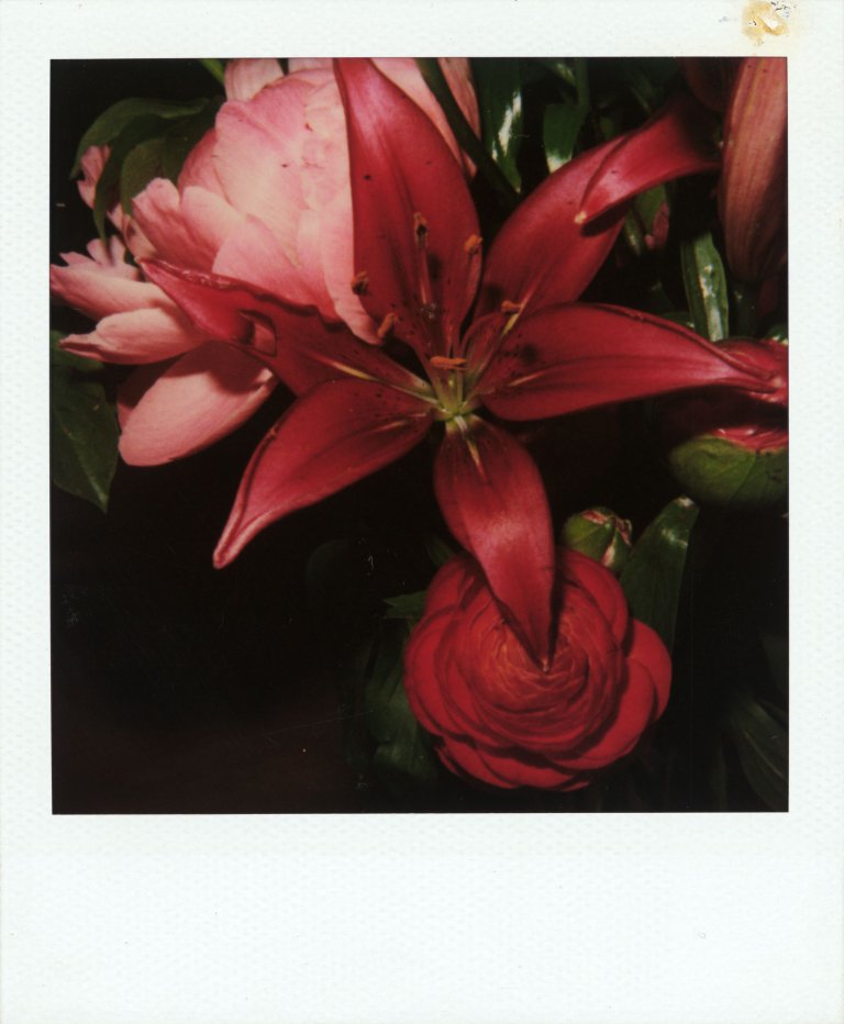 Auf diesem Bild ist das folgende Kunstwerk zu sehen: Nobuyoshi Araki. Ohne Titel (Rotes Blumenbouquet). Um 2006.