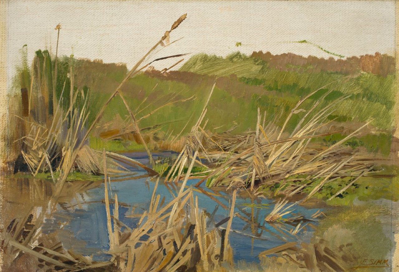 Catalog image of Wasser, Schilf und Wiese (Studie).