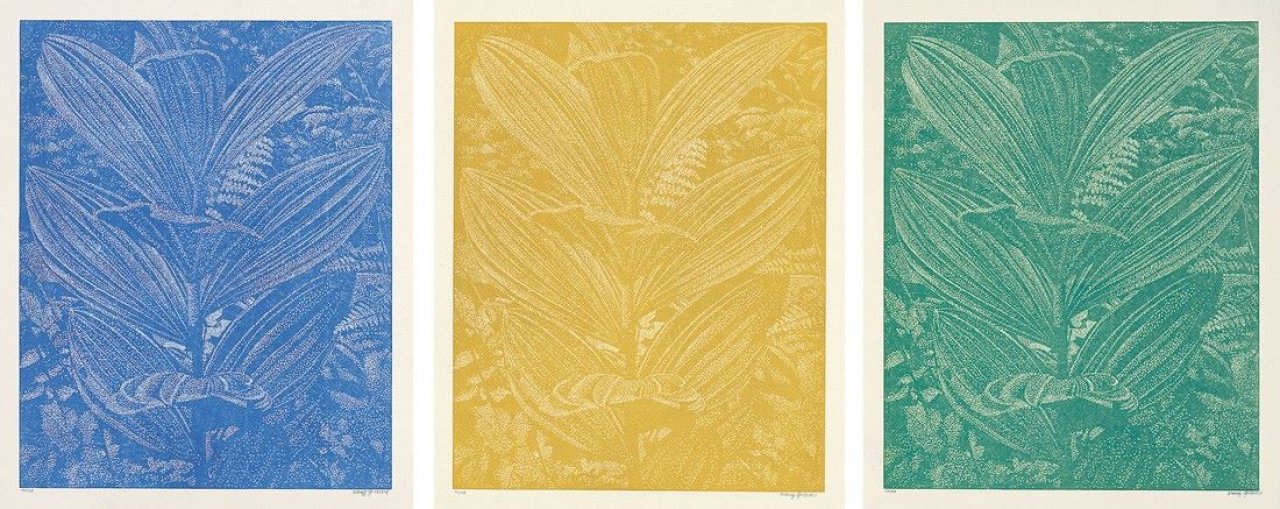 Auf diesem Bild ist das folgende Kunstwerk zu sehen: Franz Gertsch. Gentiana Lutea. 2005.