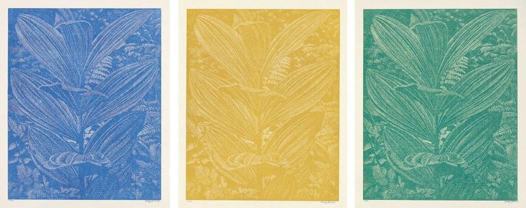 Auf diesem Bild ist das folgende Kunstwerk zu sehen: Franz Gertsch. Gentiana Lutea. 2005.