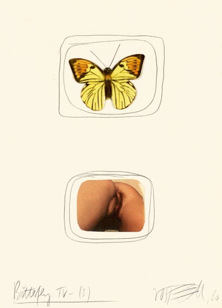 Auf diesem Bild ist das folgende Kunstwerk zu sehen: Wolf Vostell. „Butterfly TV-(3)“. 1980.